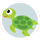 icon-turtle.png